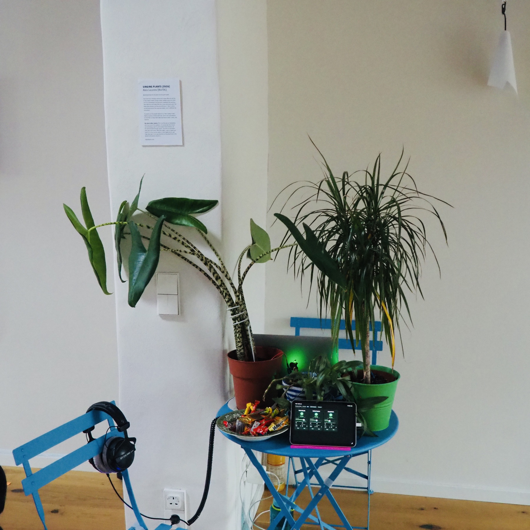 The Singing Plants installation at ACUD